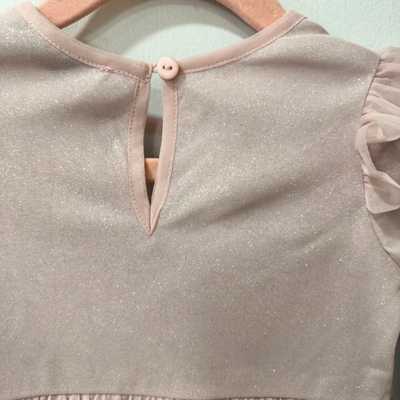 Pink Ruffle Shoulder Dress with Silver Sparkle Underlay – 18 Months - Picture 2 of 4